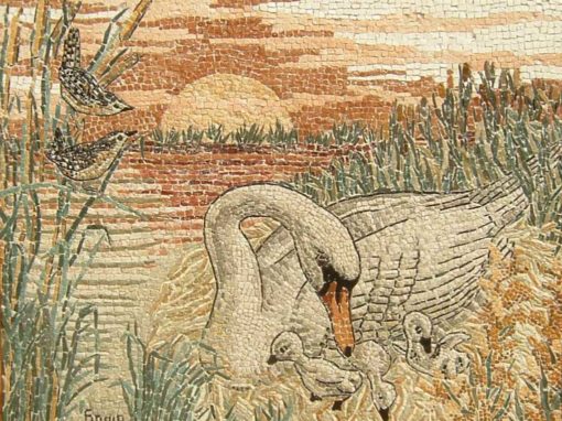 Uccelli