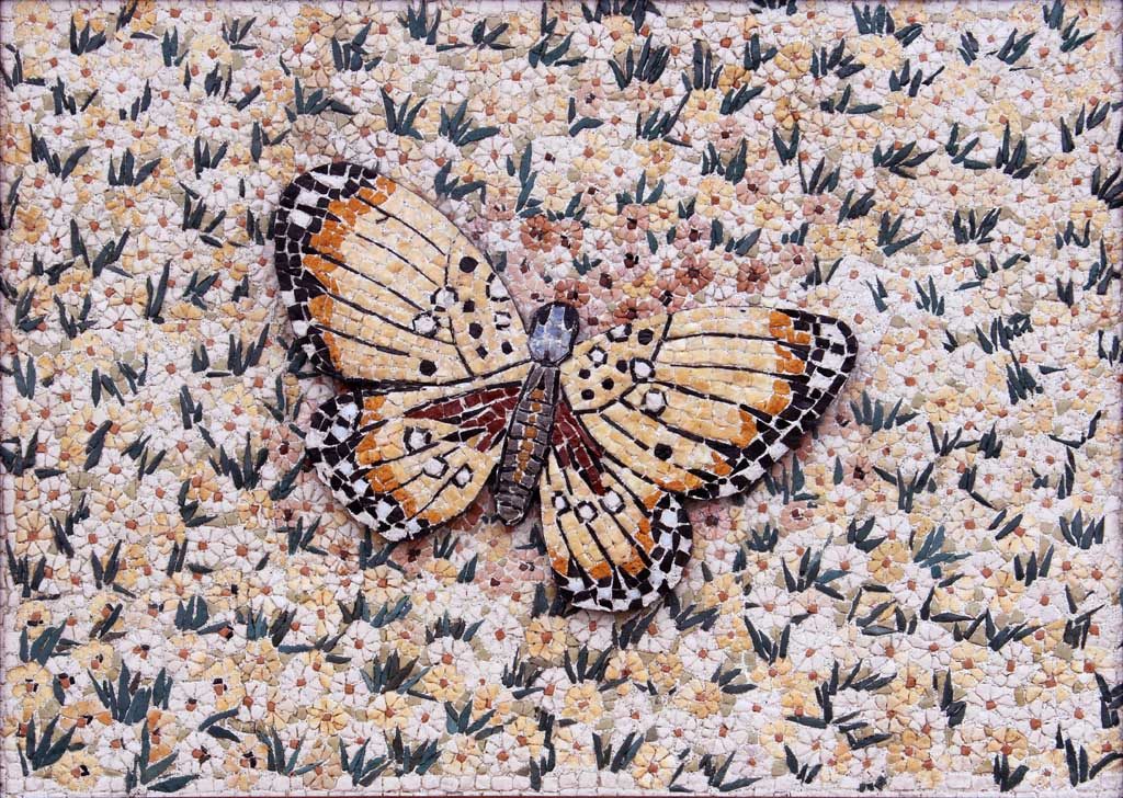 Farfalla in rilievo / Butterfly in relief