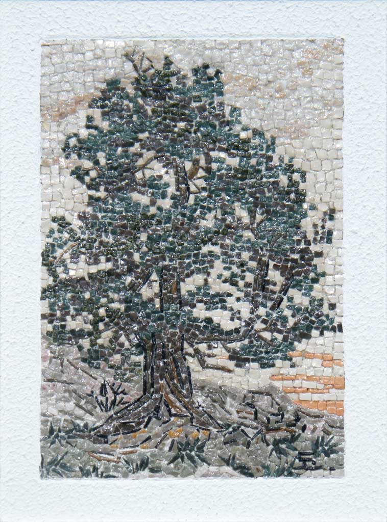 Cirmolo di Lerosa / Lerosa pine