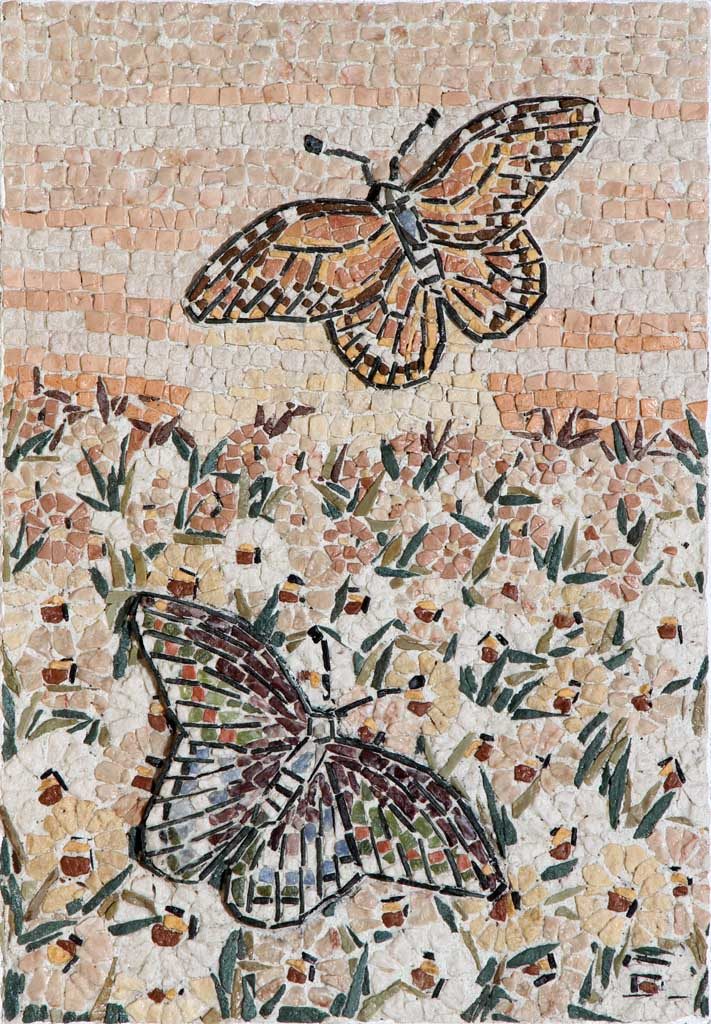 Farfalle in rilievo / Butterflies in relief