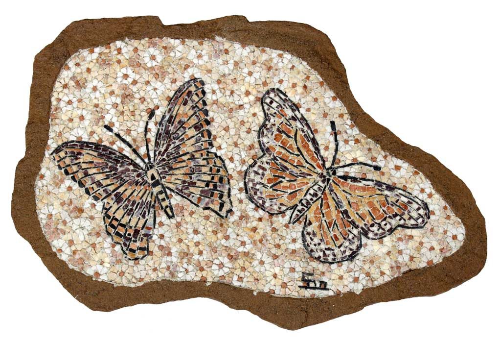 Farfalle nel sasso - Butterflies in the stone