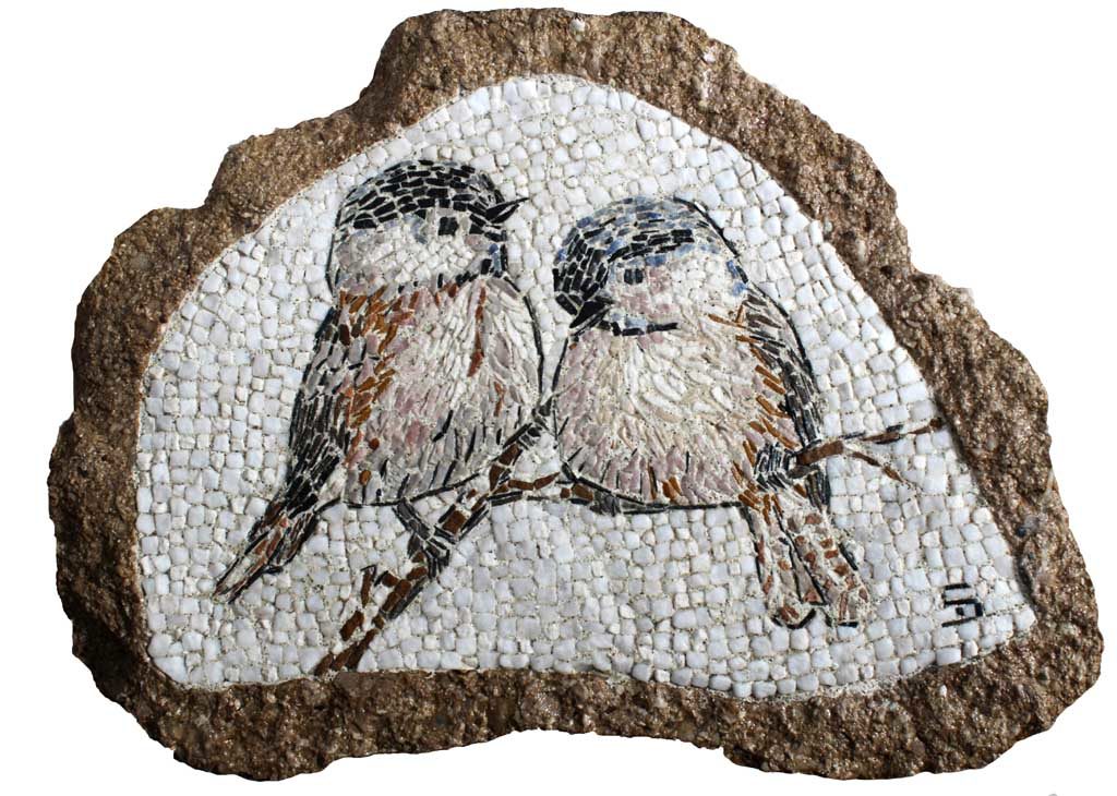 Passerotti nel sasso - Sparrows in the stone