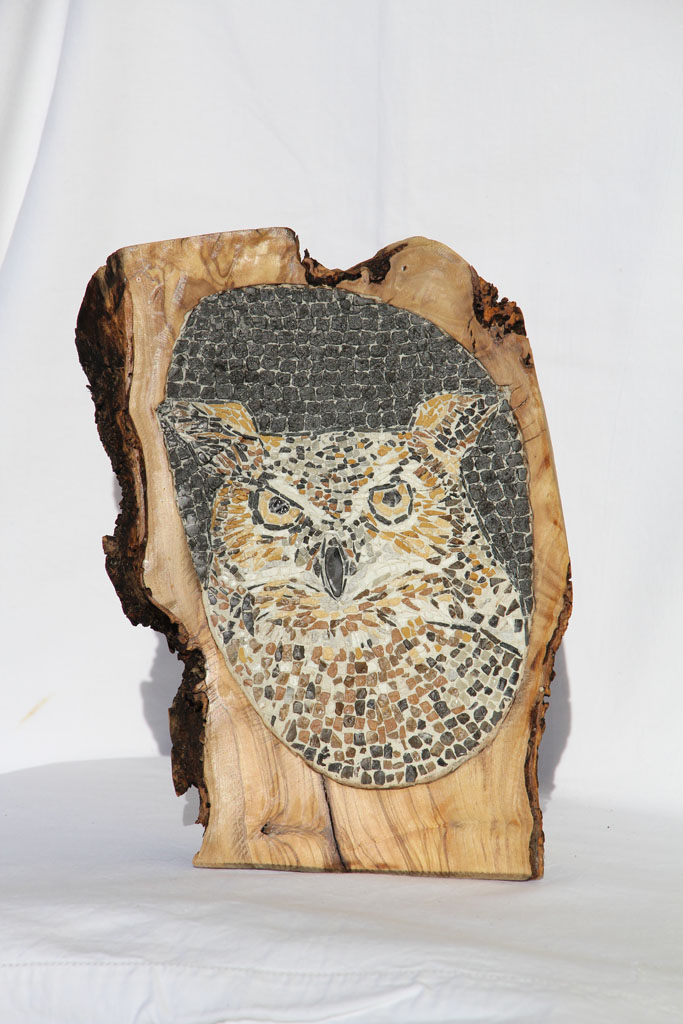 Gufo reale nel legno di ulivo / Eagle owl in the olive wood