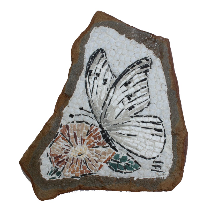 Fiore con farfalla / Flower with butterfly