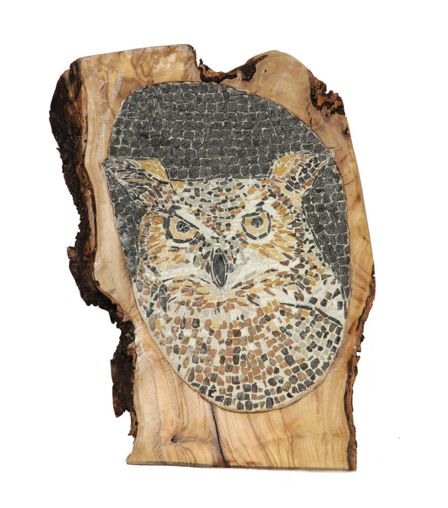 Gufo reale nel legno di ulivo / Eagle owl in the olive wood