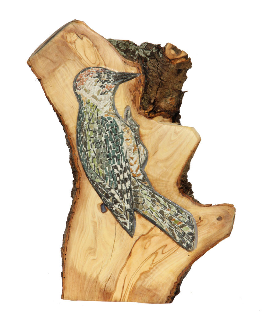 picchio nel legno / woodpecker in the wood