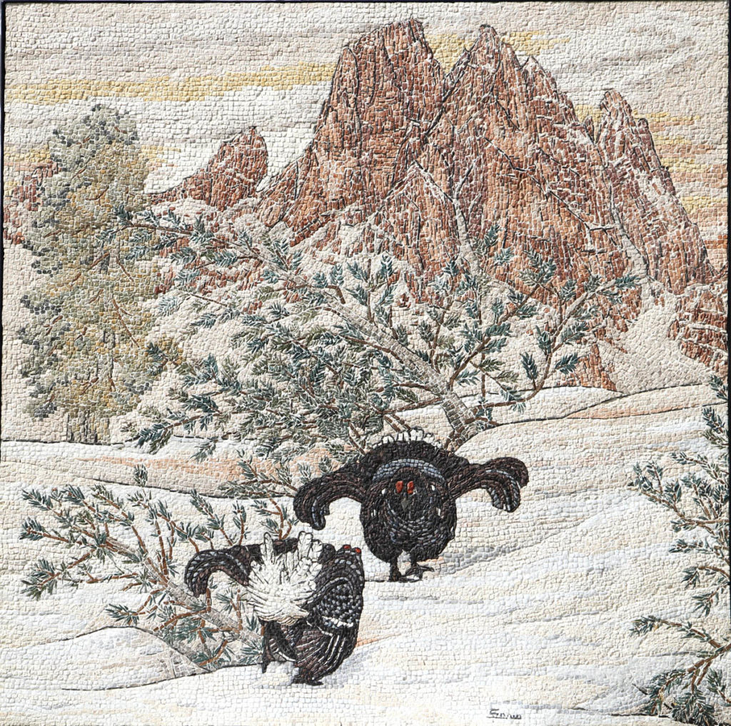 Lotta tra fagiani di monte / Fight between black grouse